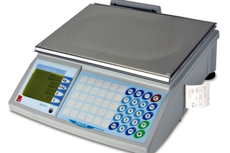 Platform scales – View 10